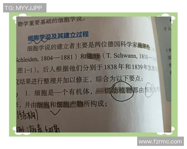 探索JiJieHao的魅力与价值，揭示其在现代生活中的独特意义与影响力