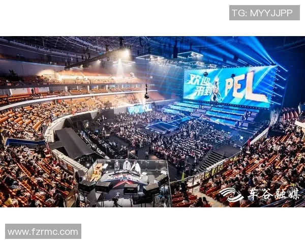 仙崽携手AG战队征战PEL赛场展现电竞新风采与无限可能 仙崽携手AG战队征战PEL赛场展现电竞新风采与无限可能